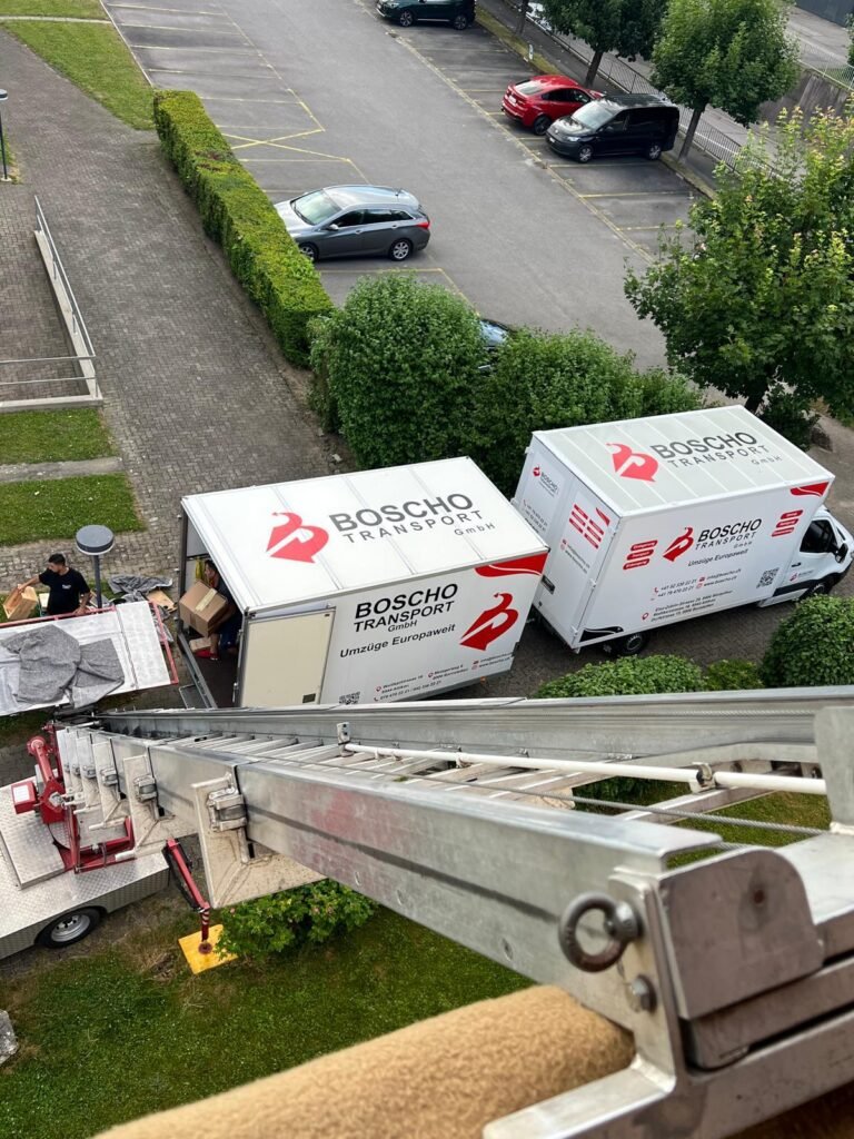 WhatsApp Image 2026-03-05 at 16.05.19 (1)