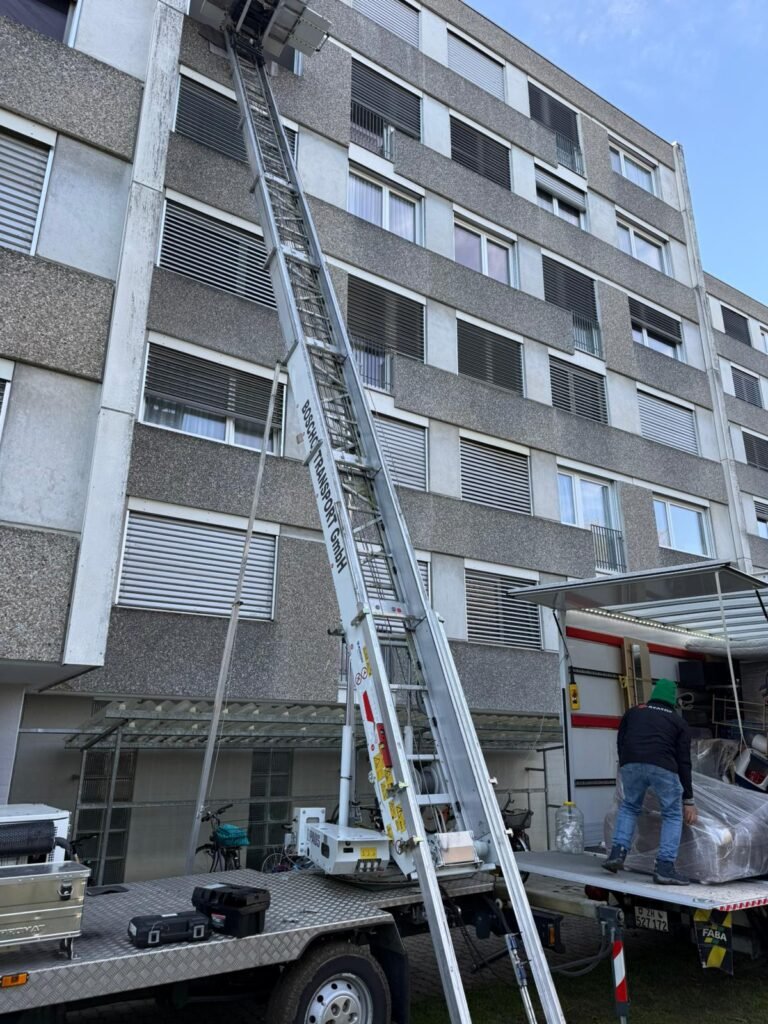 WhatsApp Image 2026-03-05 at 16.05.19 (3)