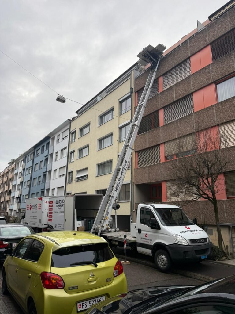 WhatsApp Image 2026-03-05 at 16.05.19 (9)